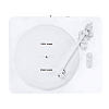 Phaze Audio Diana Siberian White_1