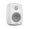 Genelec 4010AW_2
