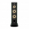 Focal Aria Evo X N°4 Moss Green High Gloss_4
