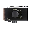 Mastersound Compact 300B Black Wood_5