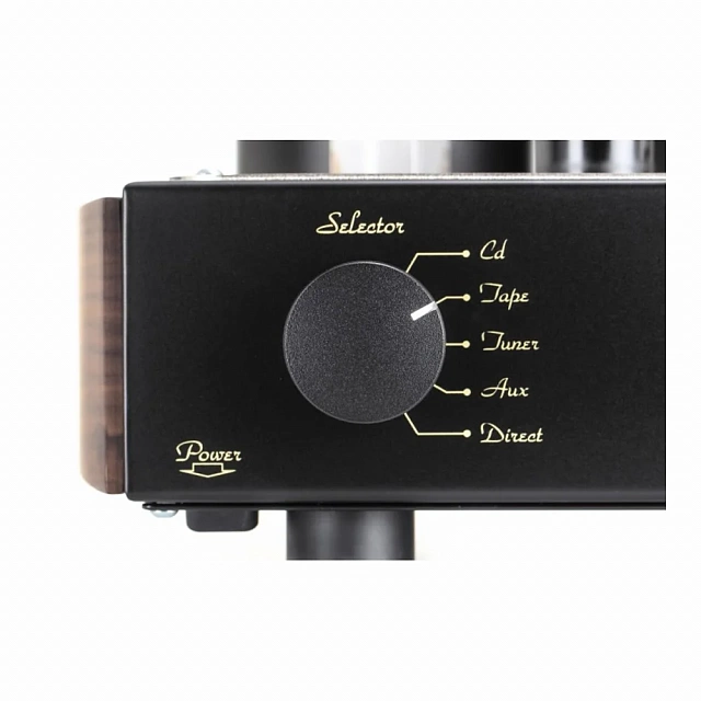 Mastersound Compact 300B Black Wood_5