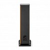Focal Aria Evo X N°4 Prime Walnut_3