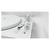 Phaze Audio Adelle Siberian White_10