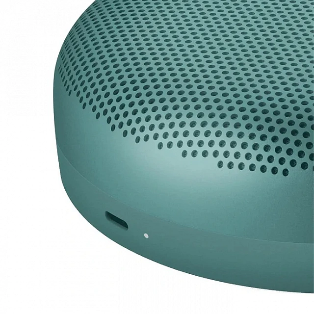 Bang & Olufsen Beosound A1 3rd Gen Eucalyptus Green_5