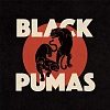 Black Pumas - "Black Pumas" ( 1LP, Album, Optimal "CZ" pressing), 5400863011536_0