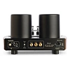 Mastersound Booster Monoblock Black Wood_2