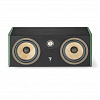 Focal Aria Evo X Center Green Moss_4