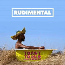 Rudimental - Toast To Our Differences (Black Vinyl/Gatefold), 0190295612450