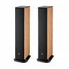 Focal Aria Evo X N°3 Prime Walnut_1