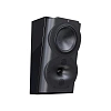 Perlisten Audio R4s_1
