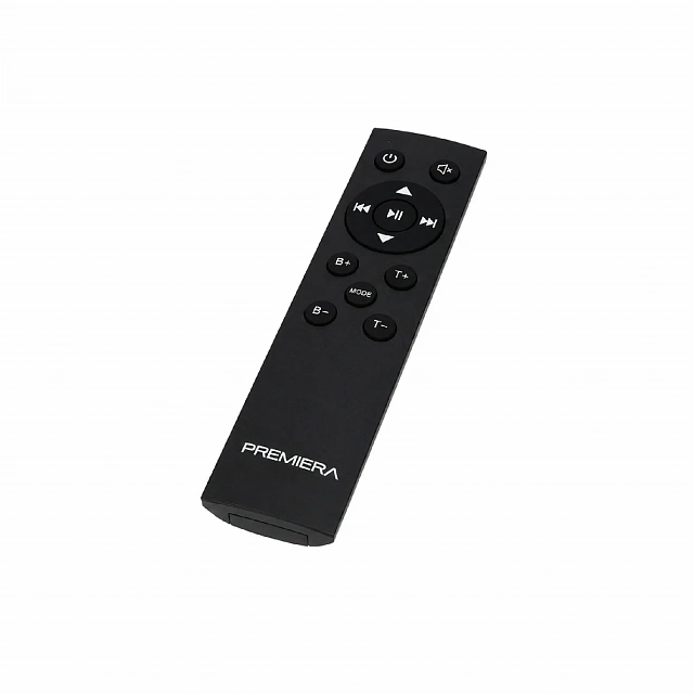 Premiera MINI AMP L (BK)_4