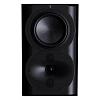 Perlisten Audio R4s_0