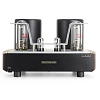 Mastersound 845 Monoblock Black Wood_1