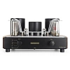 Mastersound Evolution 845 Black Wood_2