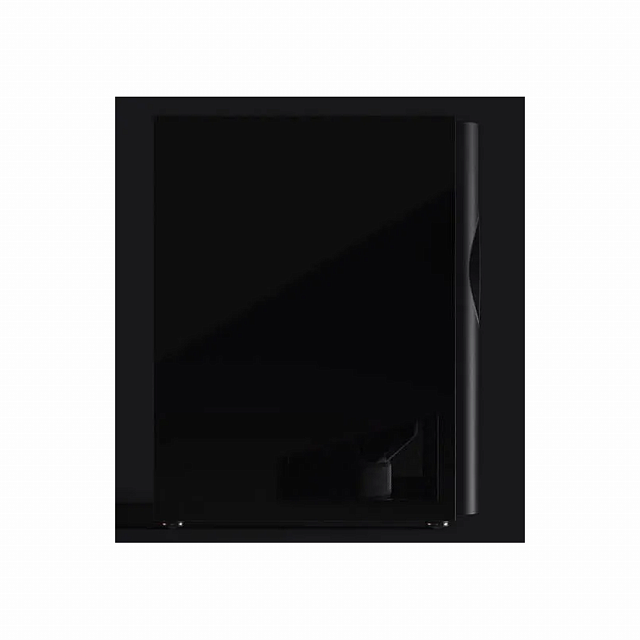 Perlisten Audio D212s Piano black_2