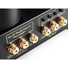 Mastersound Evolution 845 Black Wood_10
