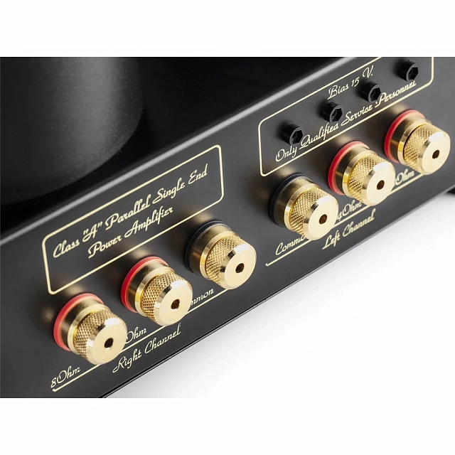 Mastersound Evolution 845 Black Wood_10