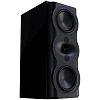 Perlisten Audio R5m_1