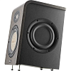 Focal Shape 65_2