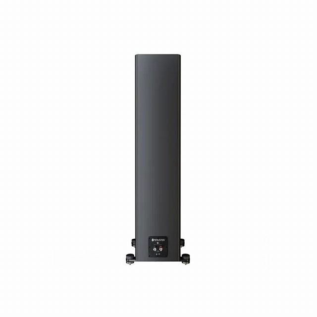Perlisten Audio A4t Matte Black_2
