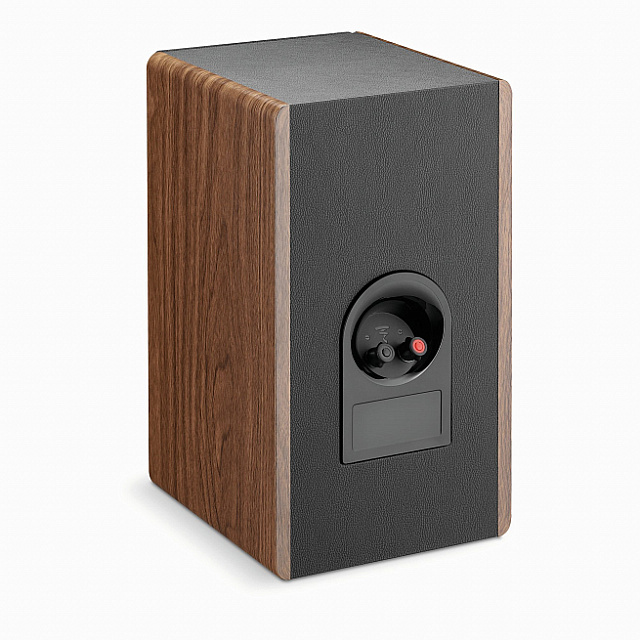 Focal Vestia № 1 Dark Wood_3