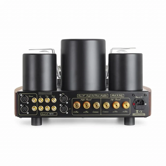 Mastersound Compact 300B Black Wood_3