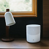 Bluesound Pulse M White_10