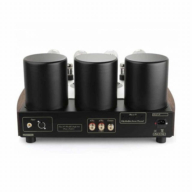 Mastersound PF 100 Litz_1