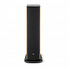 Focal Aria Evo X N°4 Prime Walnut_5