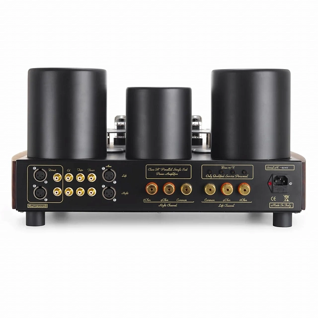 Mastersound Evolution 845 Black Wood_1
