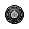 Focal SUB10DUAL_4