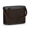 Bang & Olufsen Beosound A5 Dark Oak_1