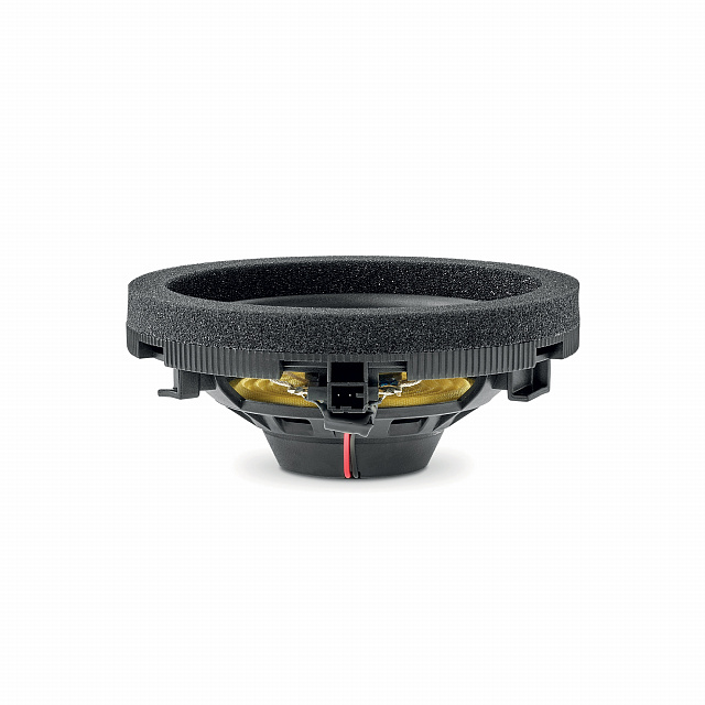 Focal IC MBZ100 V2_4