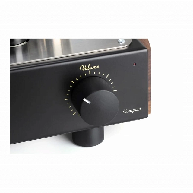 Mastersound Compact 300B Black Wood_4