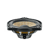 Focal IS T3Y100_1