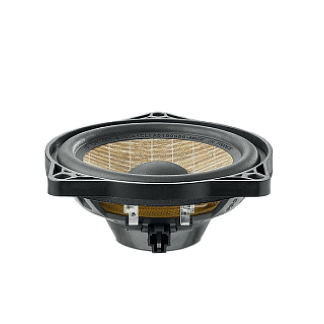 Focal IS T3Y100_1