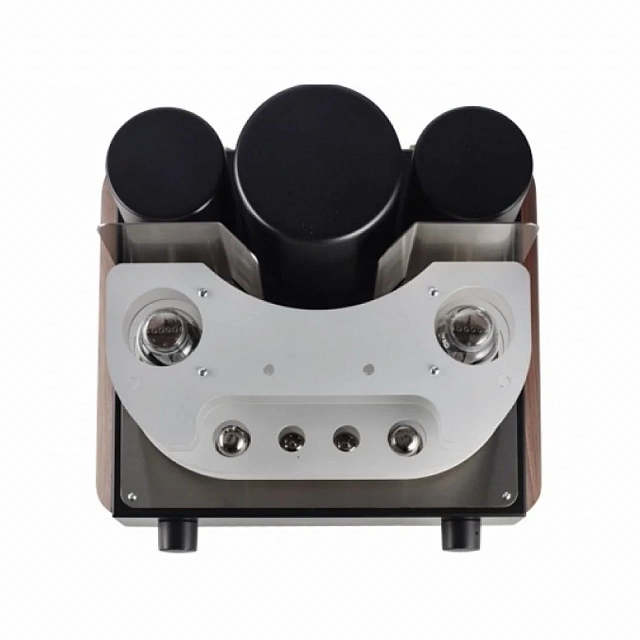 Mastersound Compact 300B Black Wood_6