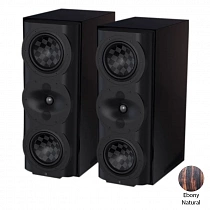 Perlisten Audio S5m Ebony Natural