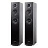 Radiotehnika Gamma 3.02 Black Ash_0