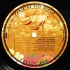Panic! At The Disco - PRETTY. ODD. (140 Gram Black Vinyl LP), 0075678969447_2