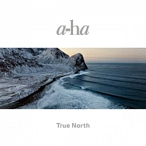 A-ha - True North (Black Vinyl 2LP), 0196587083014
