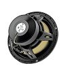 Focal EC165K EVO_3