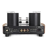 Mastersound 300B Monoblock_1