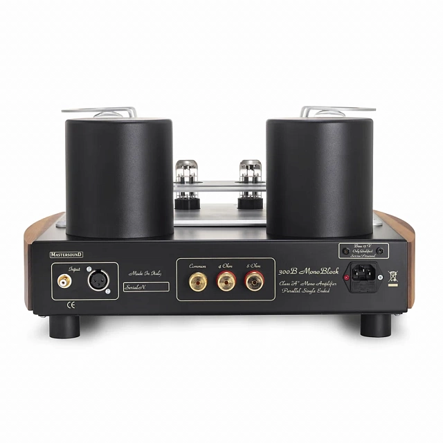 Mastersound 300B Monoblock_1