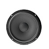 Focal IS VW165_2