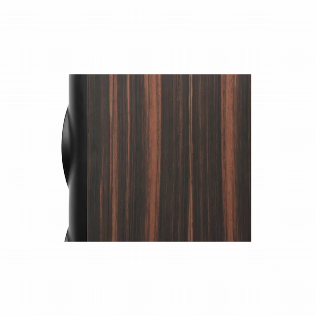 Perlisten Audio S5t Ebony High Gloss_4