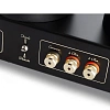 Mastersound Booster Monoblock Black Wood_6