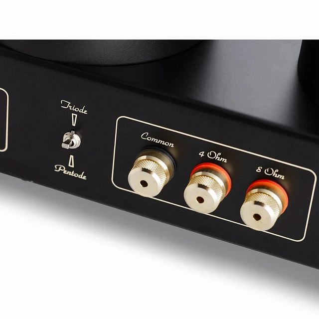 Mastersound Booster Monoblock Black Wood_6