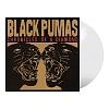 Black Pumas - Chronicles Of A Diamond (Clear Vinyl LP), 5400863146160_2