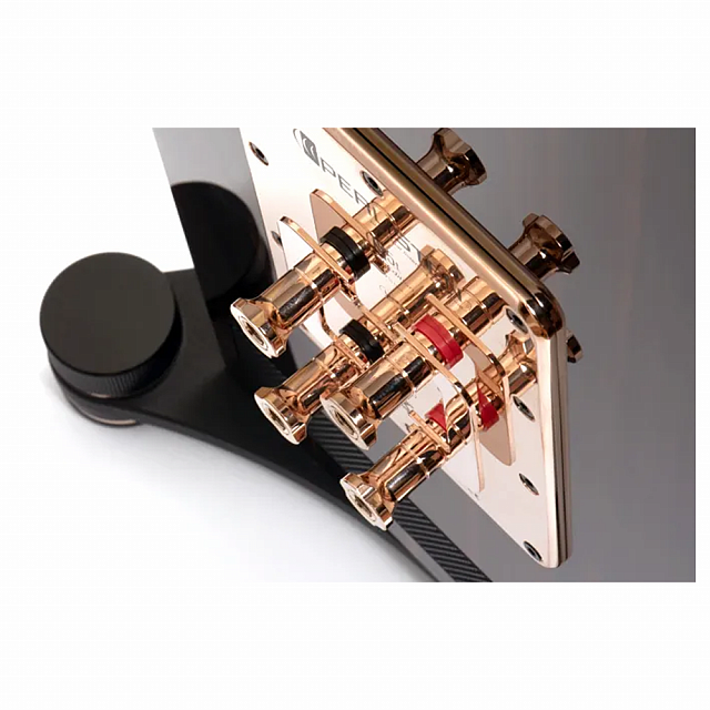 Perlisten Audio S5t Ebony High Gloss_5